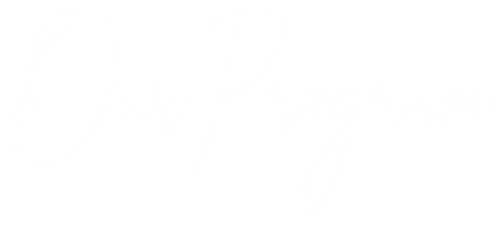 Our Program
